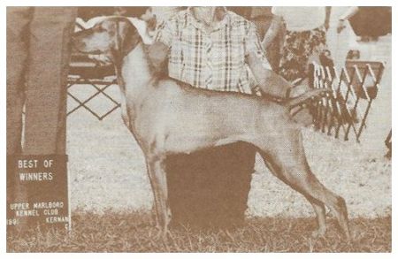 Image of Semper Fi Suribachi