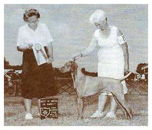 Image of Barben's Raising Cain