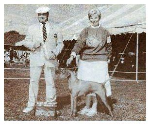 Image of Barben Hellzapoppin Kis Lada