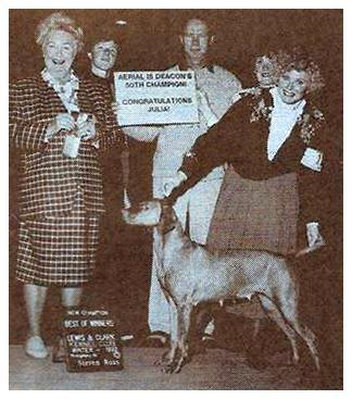 Image of Aerial View Of Kelby Creek