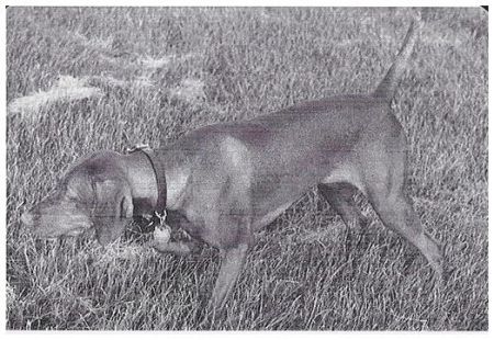 Image of Jakras Echo Of Prarie Canyon