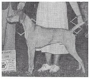 Image of Cinnabar's Make The Point