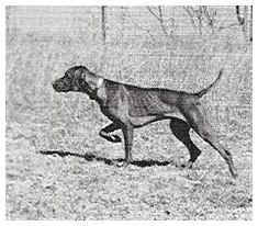 Image of Verity's Fireball des Nebels