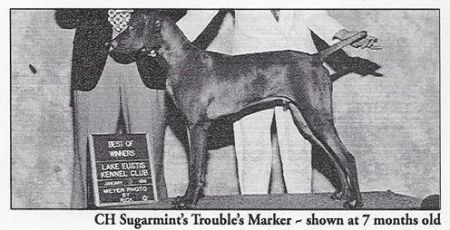 Image of Sugarmint's Trouble's Marker