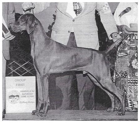 Image of Surfstone Szuka's Iland Cruzr