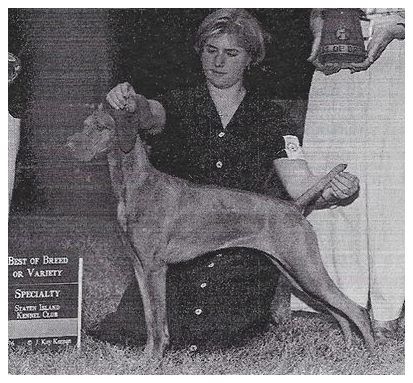 Image of Pirok Kodos