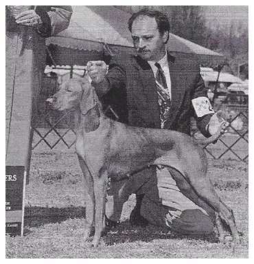 Image of Red Oak's Roxanne