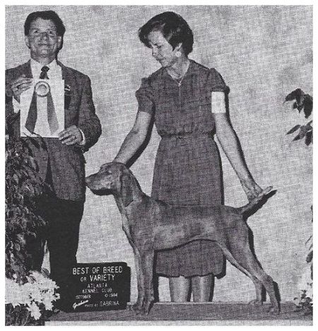 Image of Avia's Genuine Risk