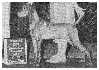 Image of Avia's Inside Trader