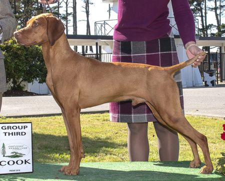 Image of Red Diamond Dance 'Til Dawn