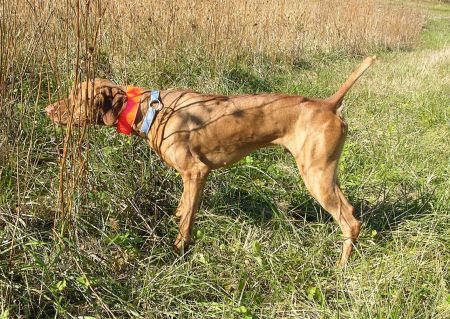 Image of Billy Rueben