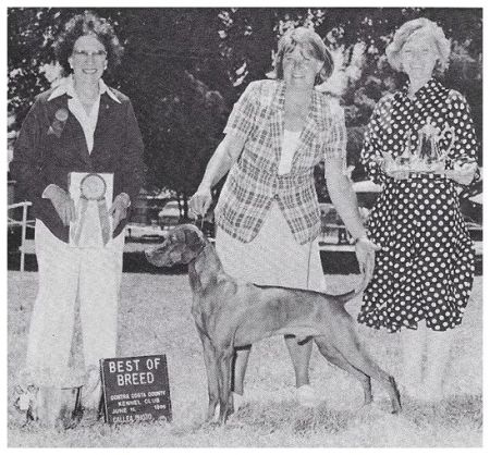 Image of Voros Vadasz Mr Bo Jangles