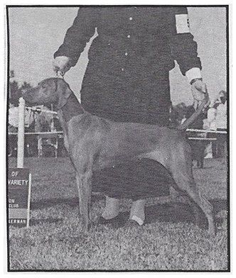 Image of Vinmar N Brylynns Just Brook