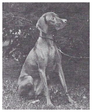 Image of Vinmar N Brylynns Just Brook