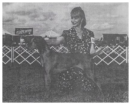 Image of Dovehill Classic Irish Cream