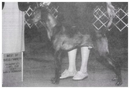 Image of Renaissance Noble Talisker