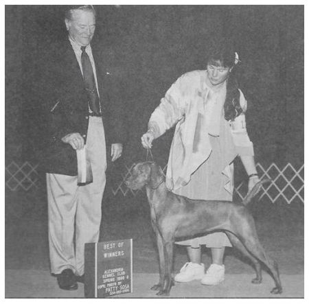 Image of Rebel Rouser Brenvilla Fawna