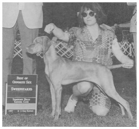 Image of Sasco's Meadow Lark