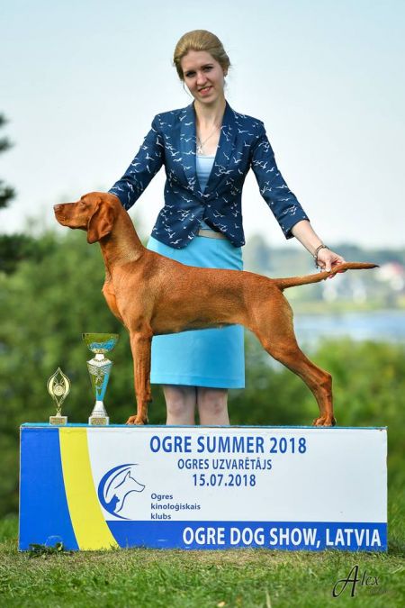 Image of Halston Real Queen Ambravittoriya