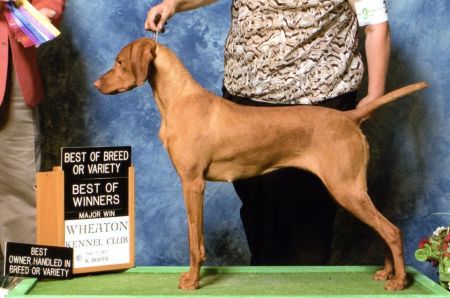 Image of Jnek Shall We Dance