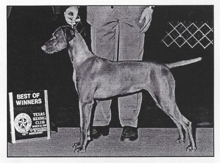 Image of Voros Vadasz Renasanz Liszka