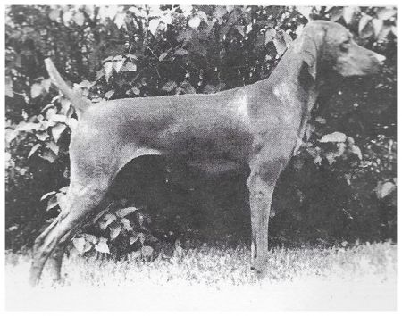 Image of Classic Rhymes And Reasons