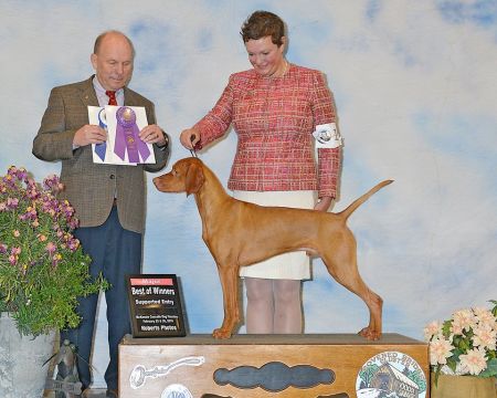 Image of Gossamer The Mountains Are Calling