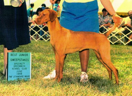 Image of Kezdet's Imola