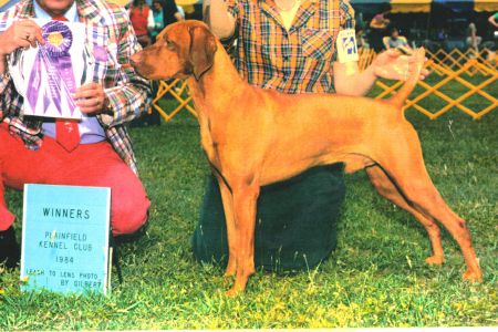 Image of Janos Bey of Bethwood