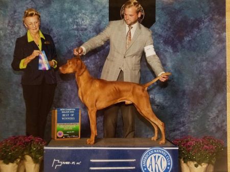 Image of Cameo's Bishop's Crown