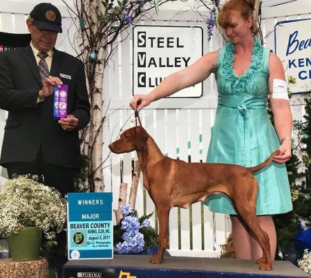 Image of Jamball's Dulcinea of Red Oak