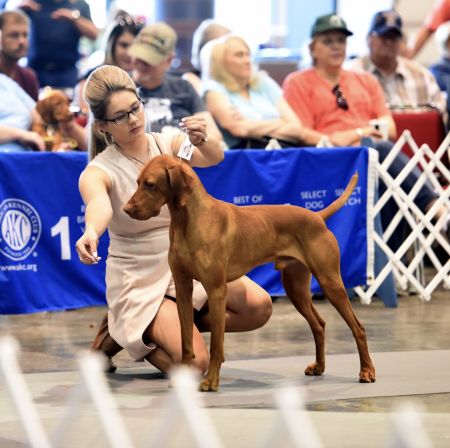 Image of Granite's Noa Doubt About It