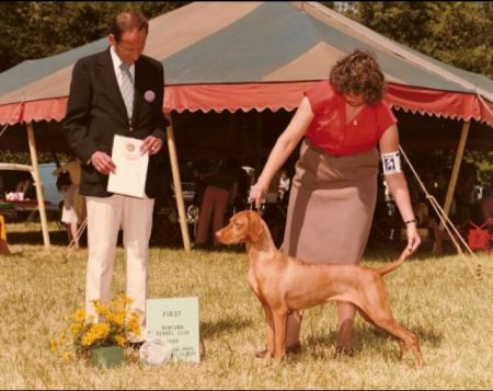 Image of Arpad's Lady Rebecca