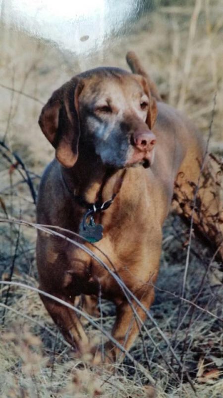 Image of Arpad's Lady Rebecca