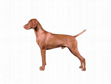 Image of Captivatin Ain't He A Knockow't