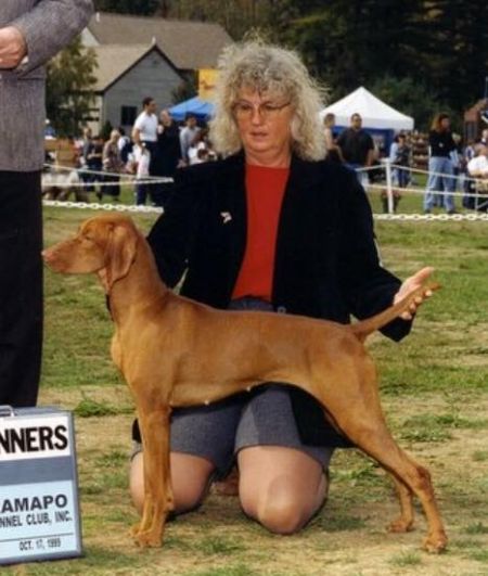 Image of Anderson's Auburn Sangria