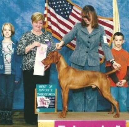 Image of Anderson's Jet Stream