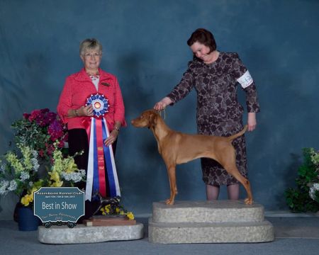 Image of Kizmar Pagliacci Really It Wasn't Me