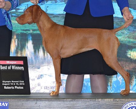 Image of Sokoldalu's Total Bliss Since Ur 1stkiss of Tierah