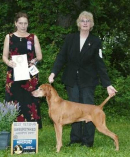 Image of Anderson's Running Solo