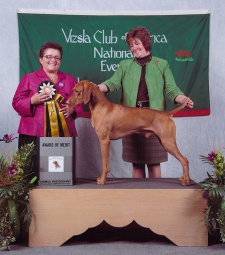 Image of Kizmar Pagliacci Only Th'Wicked