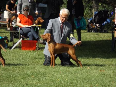 Image of Lienroc Harvest of Anya