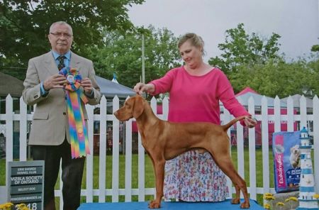 Image of Lienroc N Sasco Harvest Legend