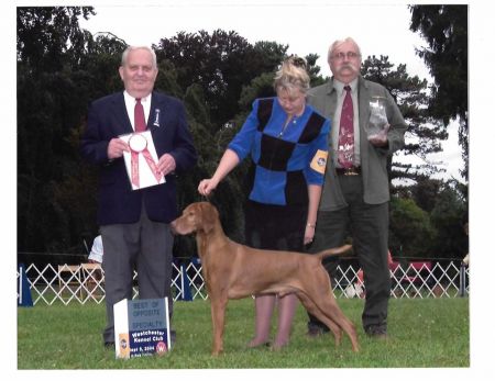 Image of Szizlin's Hold Yer Fire