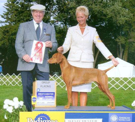 Image of Tivoliz Cpr Crk One And Only