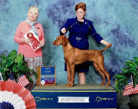 Image of Firelight's Carrying The Torch