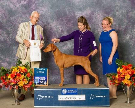 Image of Rhapsody Writing's On The Wall