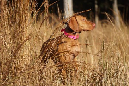 Image of Rhapsody Writing's On The Wall