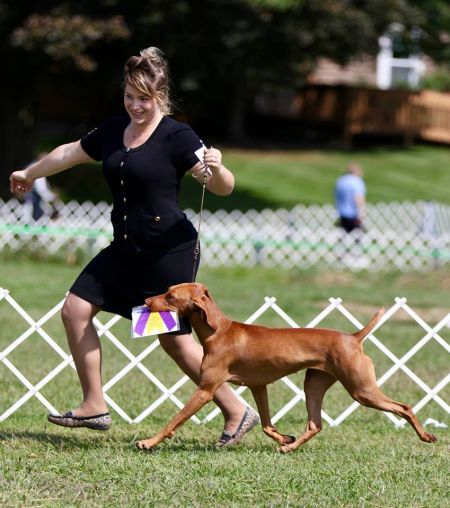 Image of Rhapsody Writing's On The Wall