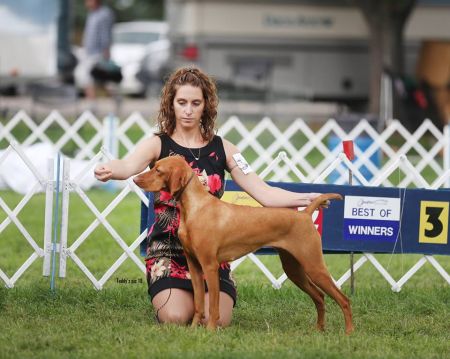 Image of Rhapsody Pop N' Circumstance